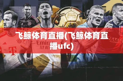 飞体育直播，重塑体育观看体验的科技革新