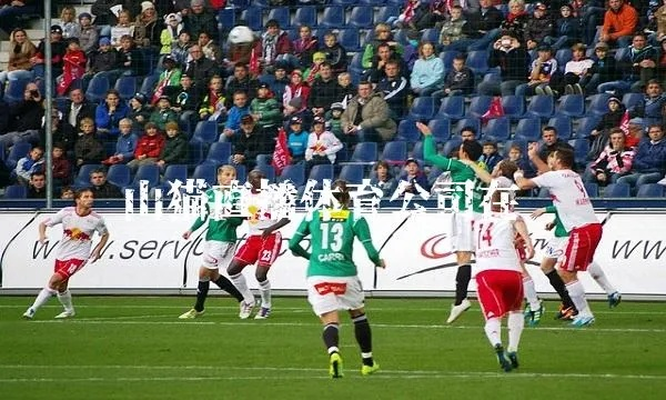 山猫直播,NBA赛事的沉浸式观赛革命 山猫直播,NBA赛事的沉浸式观赛革命