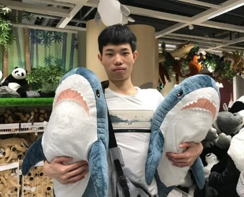 鲨鱼直播，重新定义体育直播的沉浸式体验