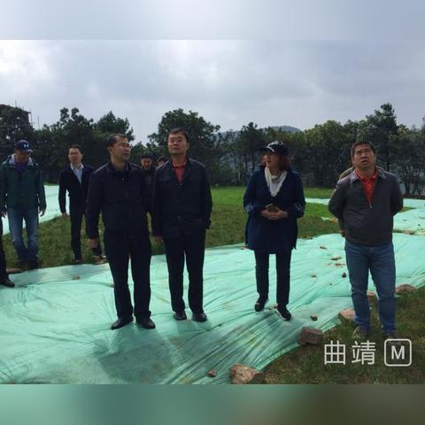 激情澎湃！直击珠江体育直播现场，感受每一刻的震撼与热血