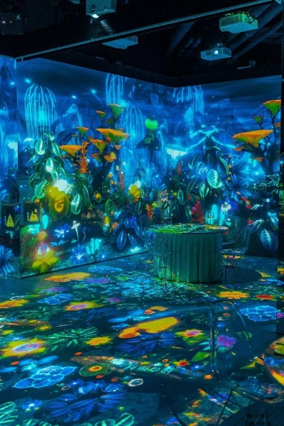 全场景沉浸式体验！隆安体育直播开启体育观看新纪元