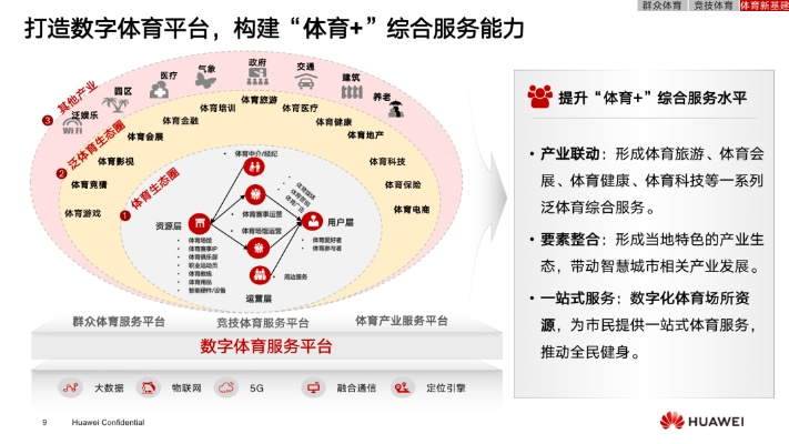365体育直播体，重构体育产业的数字生态革命