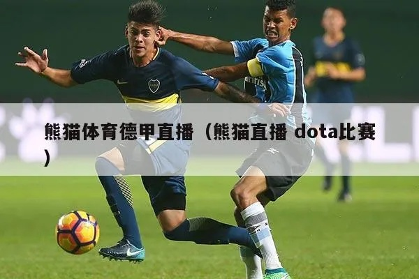 熊猫体育直播，一场融合萌趣与热血的视听盛宴