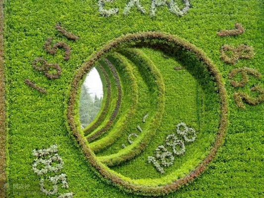 绿色视界，360直播技术如何重塑体育未来