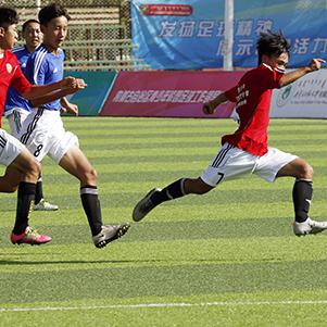 冠军体育官网足球直播，沉浸式观赛新体验，点燃足球激情