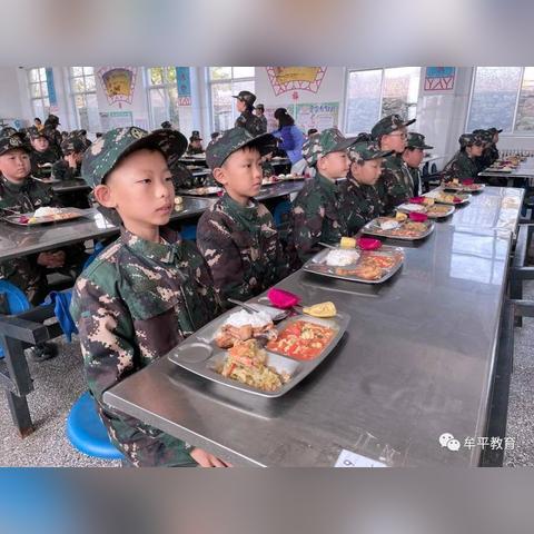 球探体育直播，重塑体育娱乐的沉浸式体验