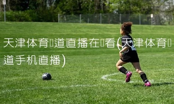 高清无延迟！天津体育频道在线直播全攻略，如何畅享赛事盛宴