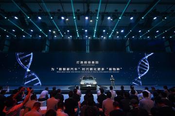 传统体育直播，在数字浪潮中坚守人文温度的最后一片阵地