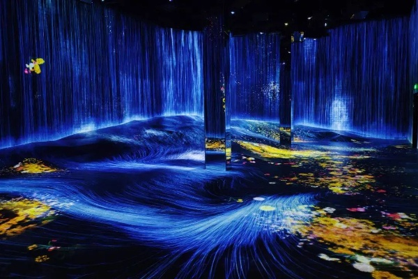 沉浸式体验与数据革命，解码未来体育直播的三大核心变革