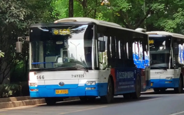 566，体育直播的革新与未来