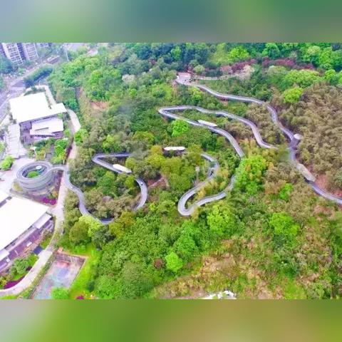 路飞体育直播，重构体育内容消费的沉浸式体验革命