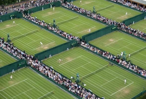 五星体育温网直播，见证草地网球巅峰对决的沉浸式盛宴