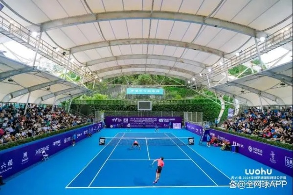 五星体育温网直播，见证草地网球巅峰对决的沉浸式盛宴