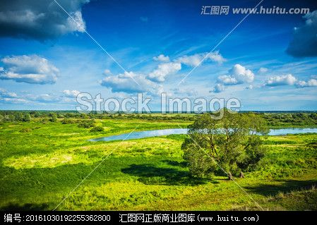 绿色视界，360直播技术如何重塑体育未来