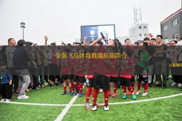 直击赛场，飞鸽体育直播如何重塑体育观看体验