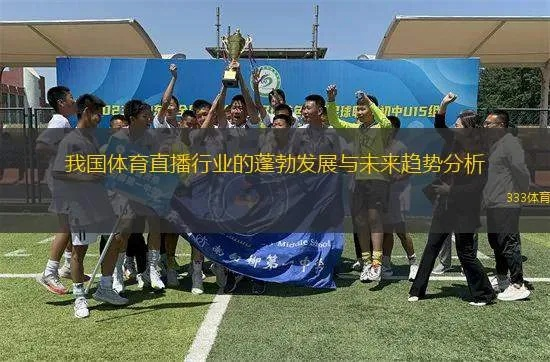 直击现场，体育直播的实时魅力与未来趋势