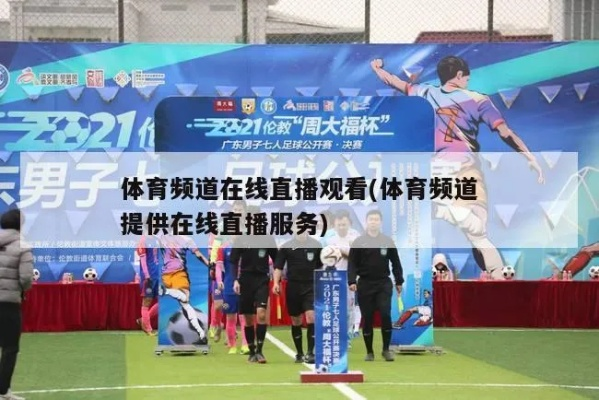 体育直播新纪元，16号直播间如何重塑观赛体验