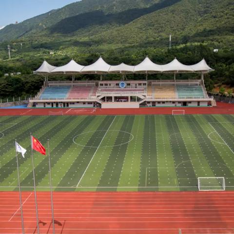 365体育直播软件网站，重塑体育观赛体验的科技革新者