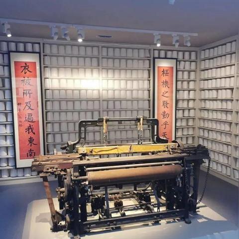 纬来在线体育直播，实时赛事盛宴与互动体验的完美结合