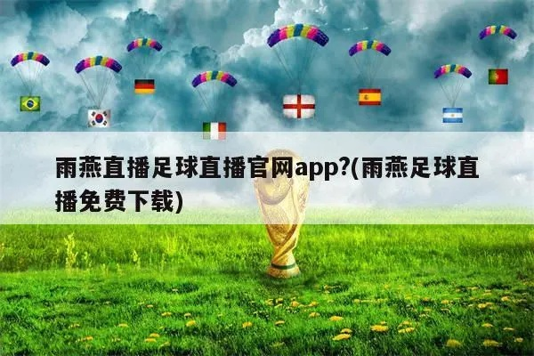 雨燕直播体育网下载指南,便捷获取体育直播的必备工具 雨燕直播体育网下载指南,便捷获取体育直播的必备工具