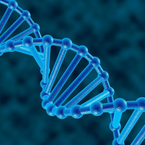 直播重构体育生态，从单向传播到多元交互的进化论