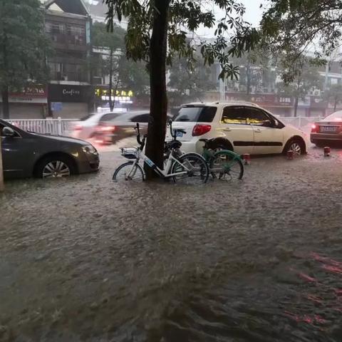 67体育直播下载，畅享全球赛事的便捷之选