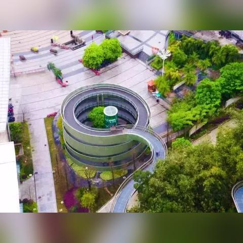 熊猫直播，重新定义体育直播的沉浸式体验革命