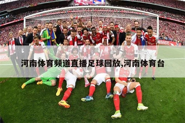 豫体育直播，中原大地的运动激情与数字时代的碰撞