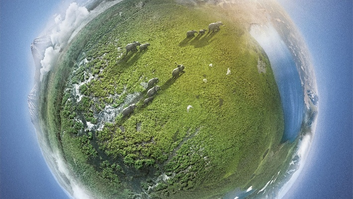 绿色视界，360直播技术如何重塑体育未来