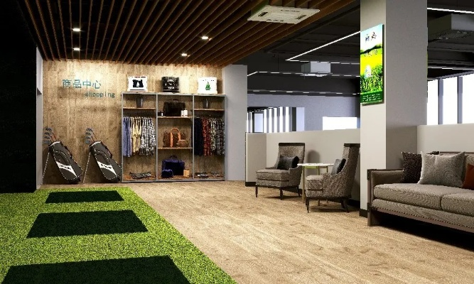 绿洲体育，绿色体育直播如何重塑体育生态