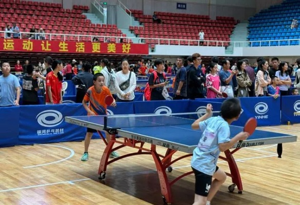 极速体育，重塑NBA直播体验的极速革命