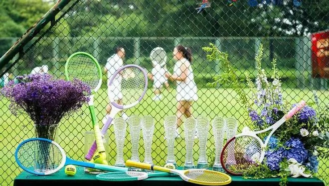 五星体育温网直播，见证草地网球巅峰对决的沉浸式盛宴