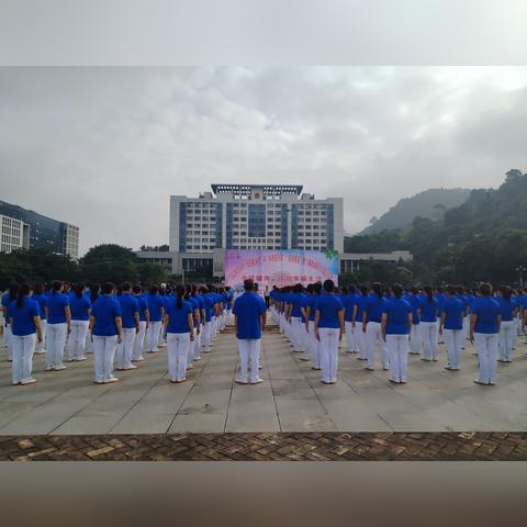 激情与科技的碰撞，揭秘凭祥体育直播如何点燃城市活力