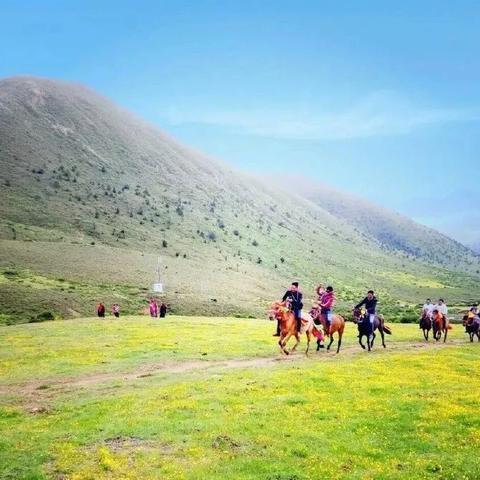 188体育直播，沉浸式观赛新体验，畅享全球体育赛事盛宴