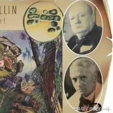 欧洲体育直播，数字时代的黄金时代与未来挑战