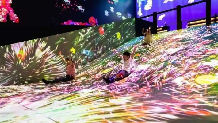 体育直播观看，从被动观看到沉浸式体验的技术革新与用户行为变迁