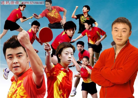 乒乓热浪席卷荧屏，解码体育频道乒乓球直播的流量密码