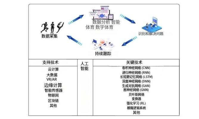 体育直播课，重构体育教育的创新实践与未来图景