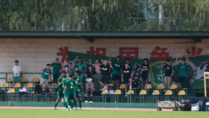 绿洲体育，绿色体育直播如何重塑体育生态