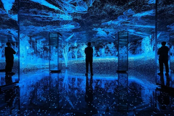 沉浸式体验,体育节目直播的技术革新与未来趋势 沉浸式体验,体育节目直播的技术革新与未来趋势