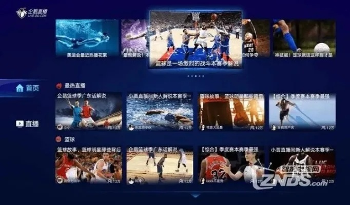 乐视体育直播下载安装全攻略，畅享高清赛事的终极指南