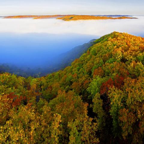 黑土体育网直播，重塑体育娱乐生态的数字化先锋