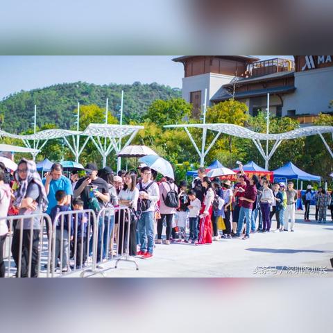 五星体育雨燕直播,实时赛事盛宴与互动体验的完美结合 五星体育雨燕直播,实时赛事盛宴与互动体验的完美结合