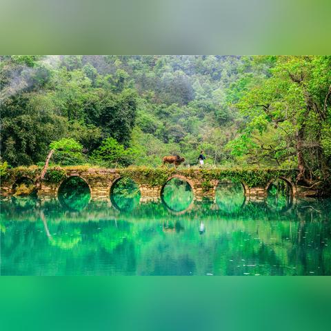 图文直播，重构体育传媒的沉浸式未来