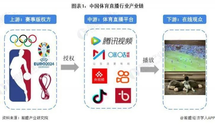 全球视野下的体育直播革命，从赛事传播到数字生态的蜕变