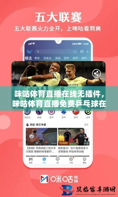 体育直播免费观看，数字时代的全民狂欢与产业变革