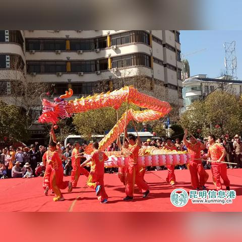 龙珠体育直播，重塑体育娱乐的沉浸式体验