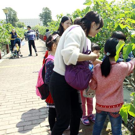 粤韵与篮声，广东体育频道NBA直播的二十年传承与创新