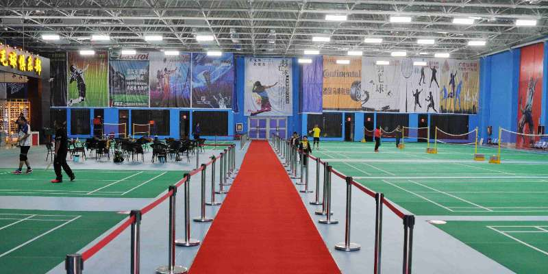 绿洲体育，绿色体育直播如何重塑体育生态