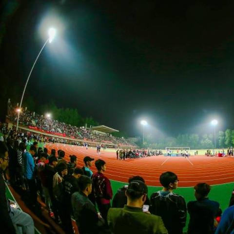 365体育直播软件网站，重塑体育观赛体验的科技革新者